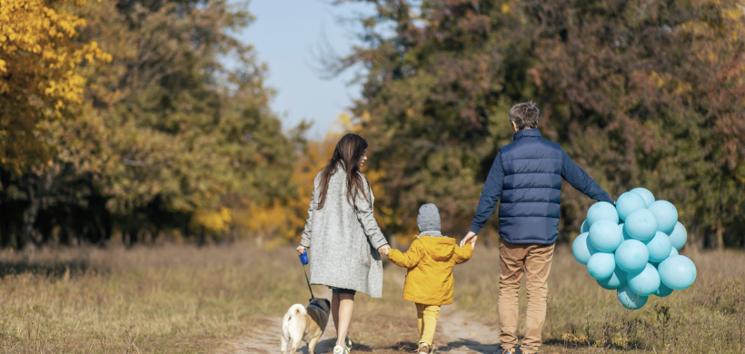 family walking on grass family lawyers background, estate planning